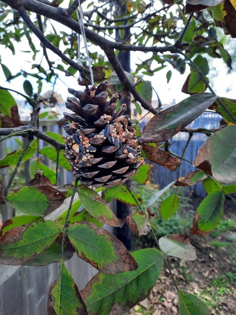 Pinecone covered with birdseed hanging from a tree branch, a simple eco-friendly craft for kids.