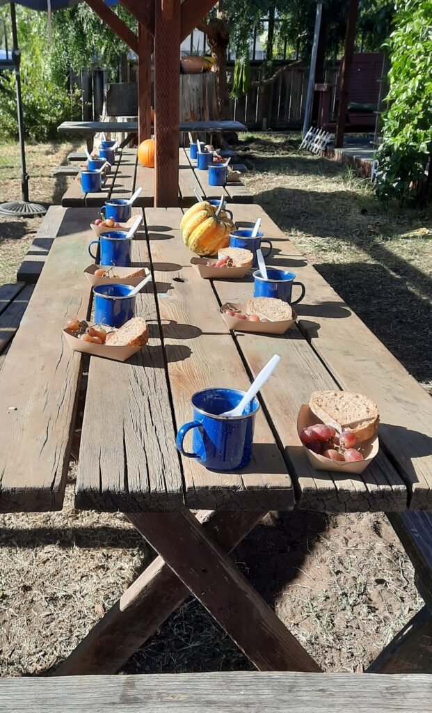 Long outdoor picnic table set with blue enamel mugs, sandwiches, grapes, and small gourds under bright sunlight.