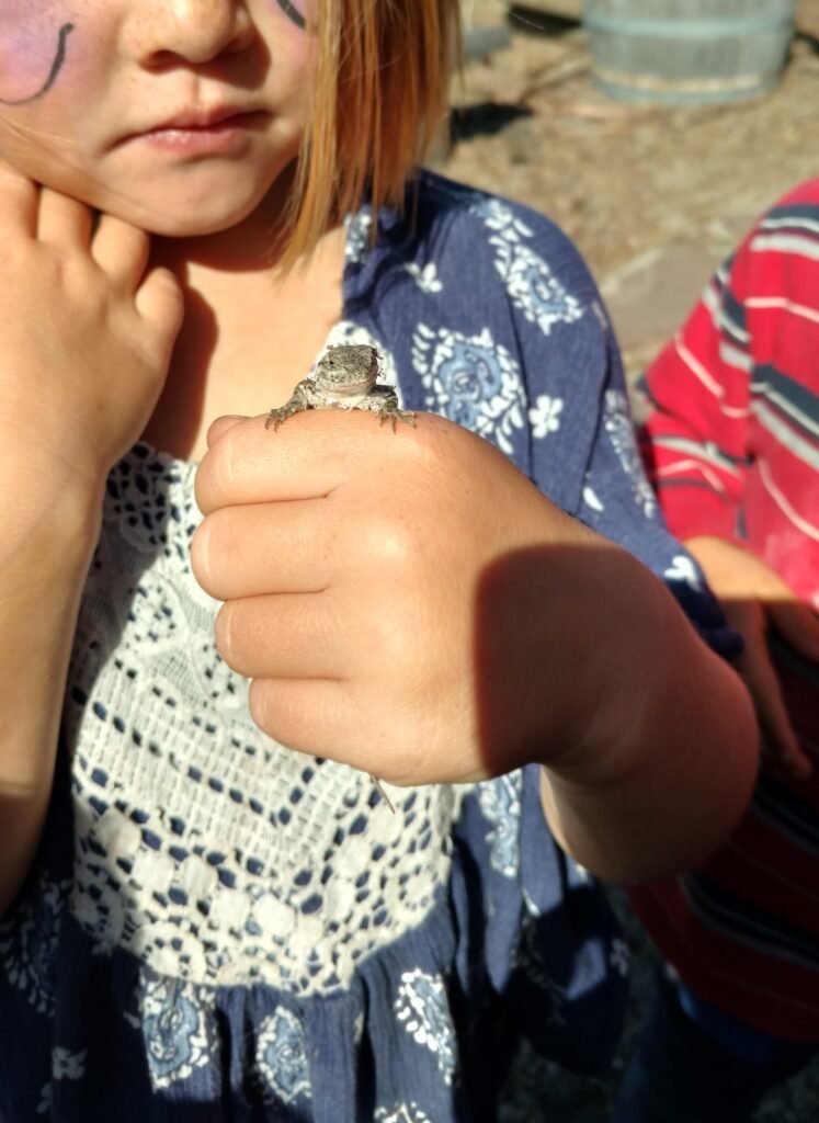 Child proudly holding a small lizard during outdoor exploration time, learning about local wildlife.