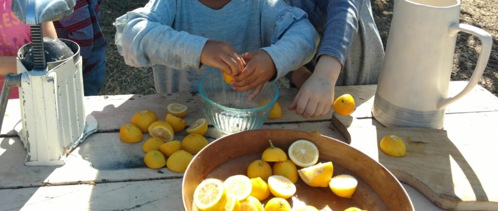 Children squeezing lemons and using a hand press to make fresh lemonade at an outdoor activity table