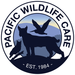 Pacific Wildlife Care logo showing silhouettes of a bobcat, a bird in flight, and an owl perched against a mountain and sky background, with the text “Pacific Wildlife Care, Est. 1984.”