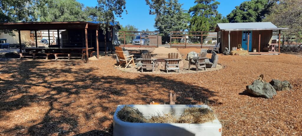 A wide outdoor play space shaded by large tree branches overhead. Two rope swings hang from the limbs, centered in the frame. In the background are two small rustic playhouses, one dark green with multiple windows and a front porch, and the other with a metal roof and open side. The ground is covered with wood chips, and a wooden fence lines the edge of the property with hills and trees visible beyond it.