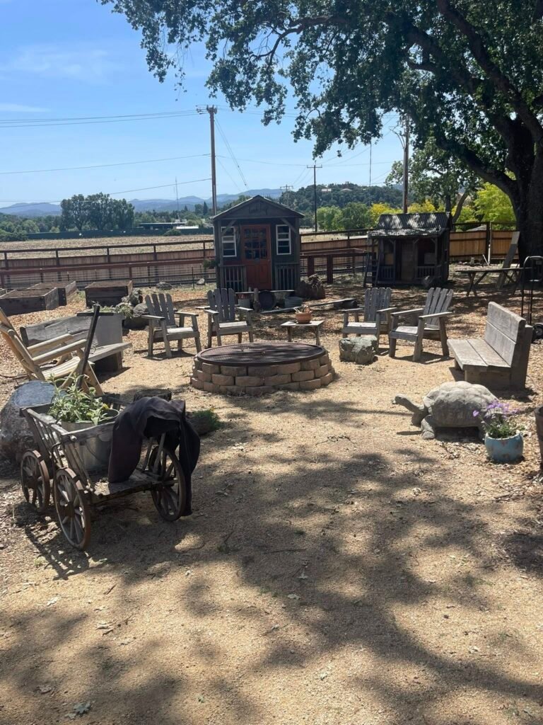 Outdoor gathering area with a circular fire pit surrounded by Adirondack chairs, wooden benches, mature oak trees, and small rustic playhouses in a peaceful homestead setting.